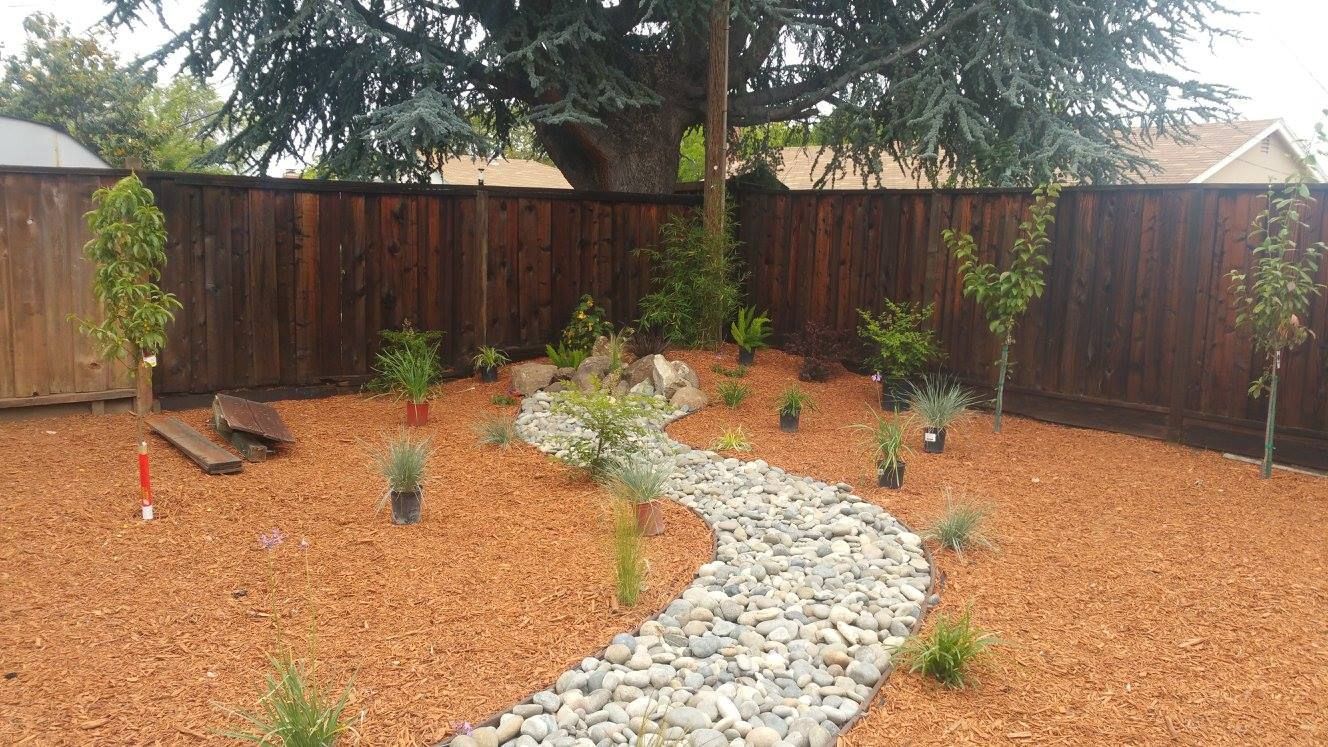 A path in a backyard with a wooden fence and a tree