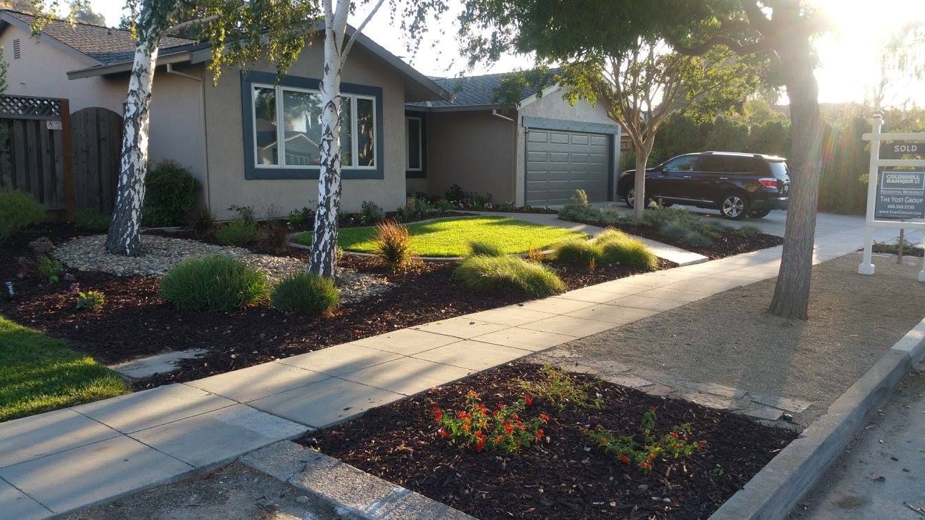 A house with a lot of plants in front of it