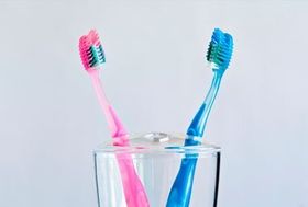 Blue and Pink Toothbrushes - Oxford, MA