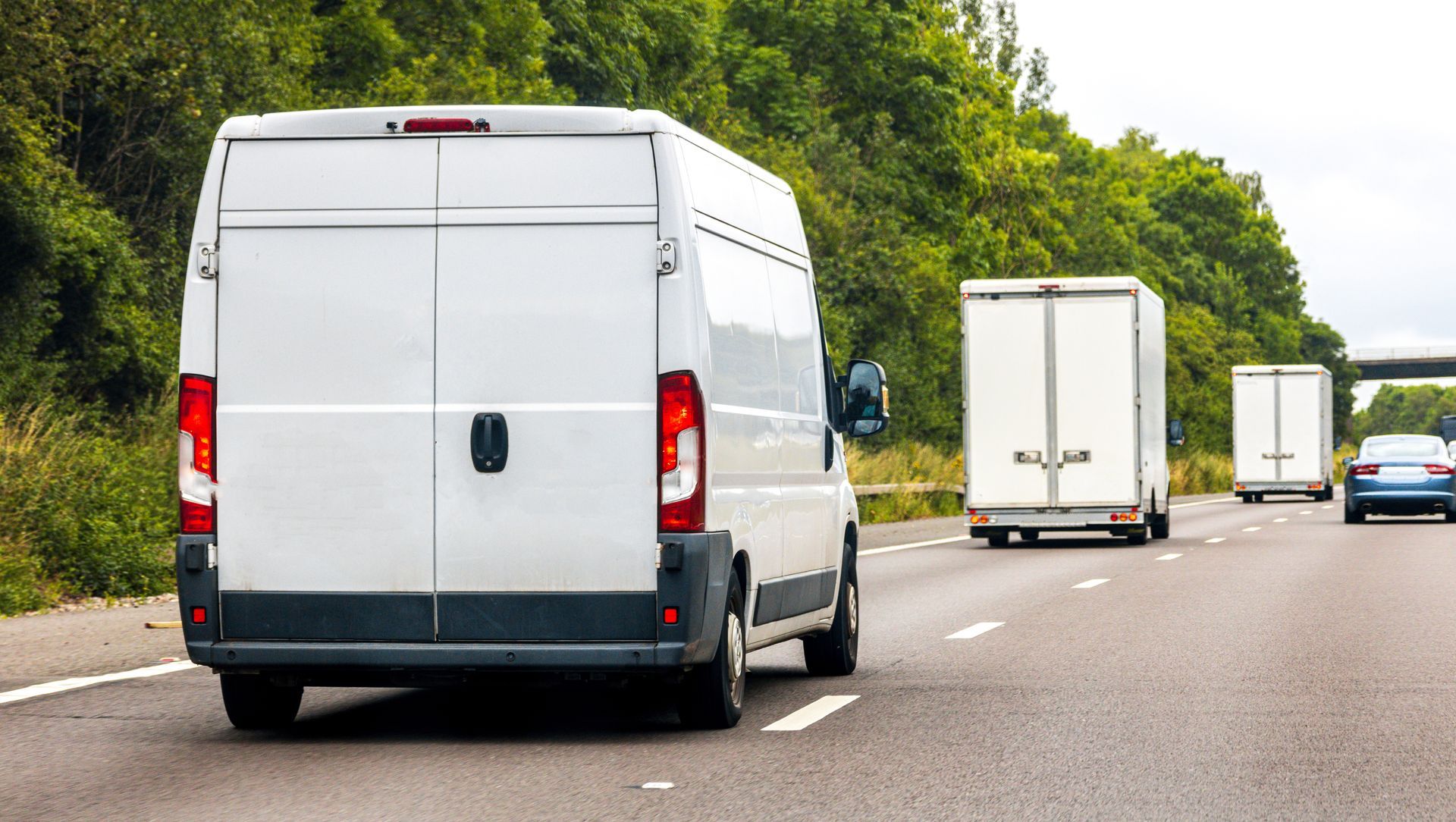 White vans and cars driving on a road beside trees.