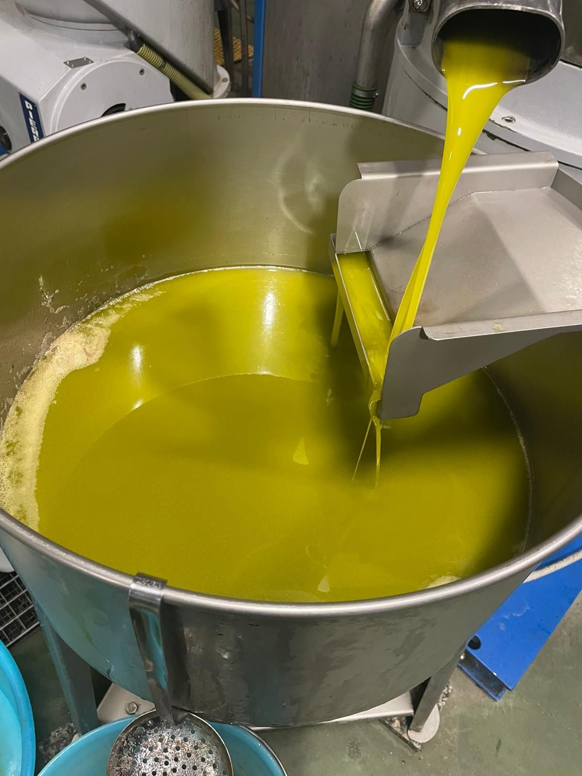 Olio d'oliva di un verde brillante che sgorga da una macchina e si riversa in una grande vasca di raccolta in acciaio inossidabile.