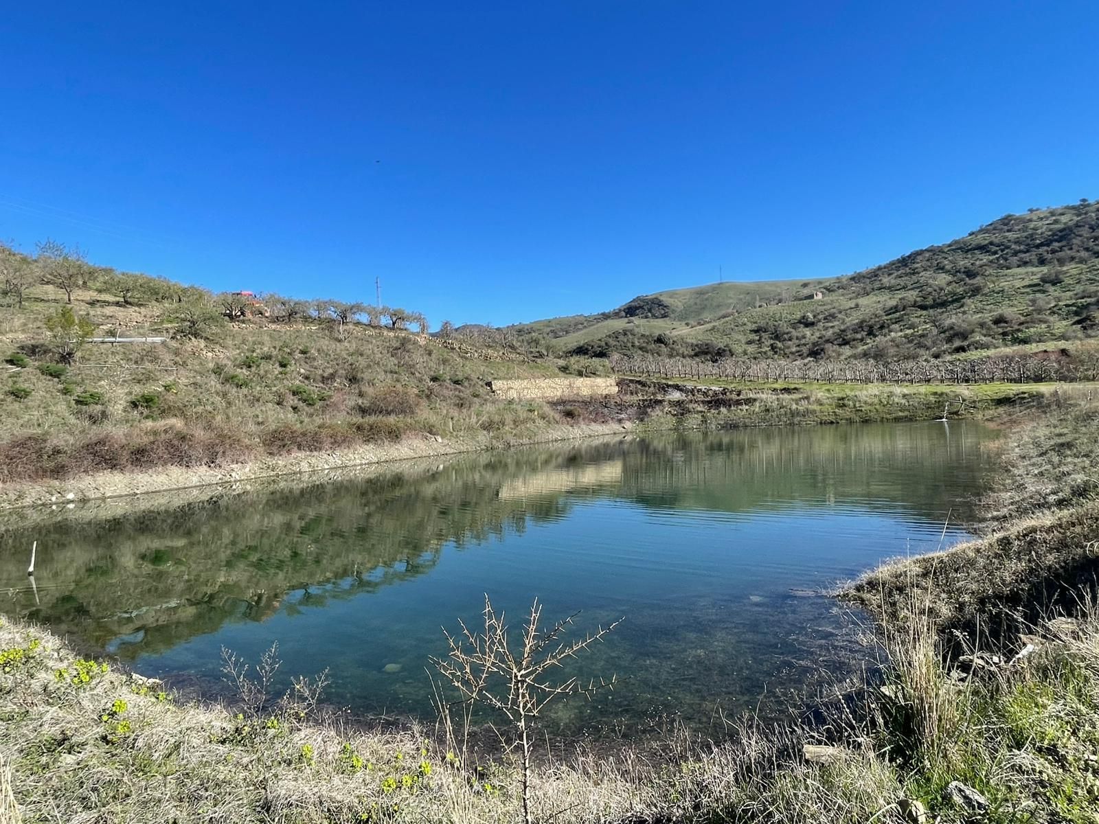 Un tranquillo laghetto incastonato in una valle con pendii erbosi sotto un cielo azzurro e limpido.