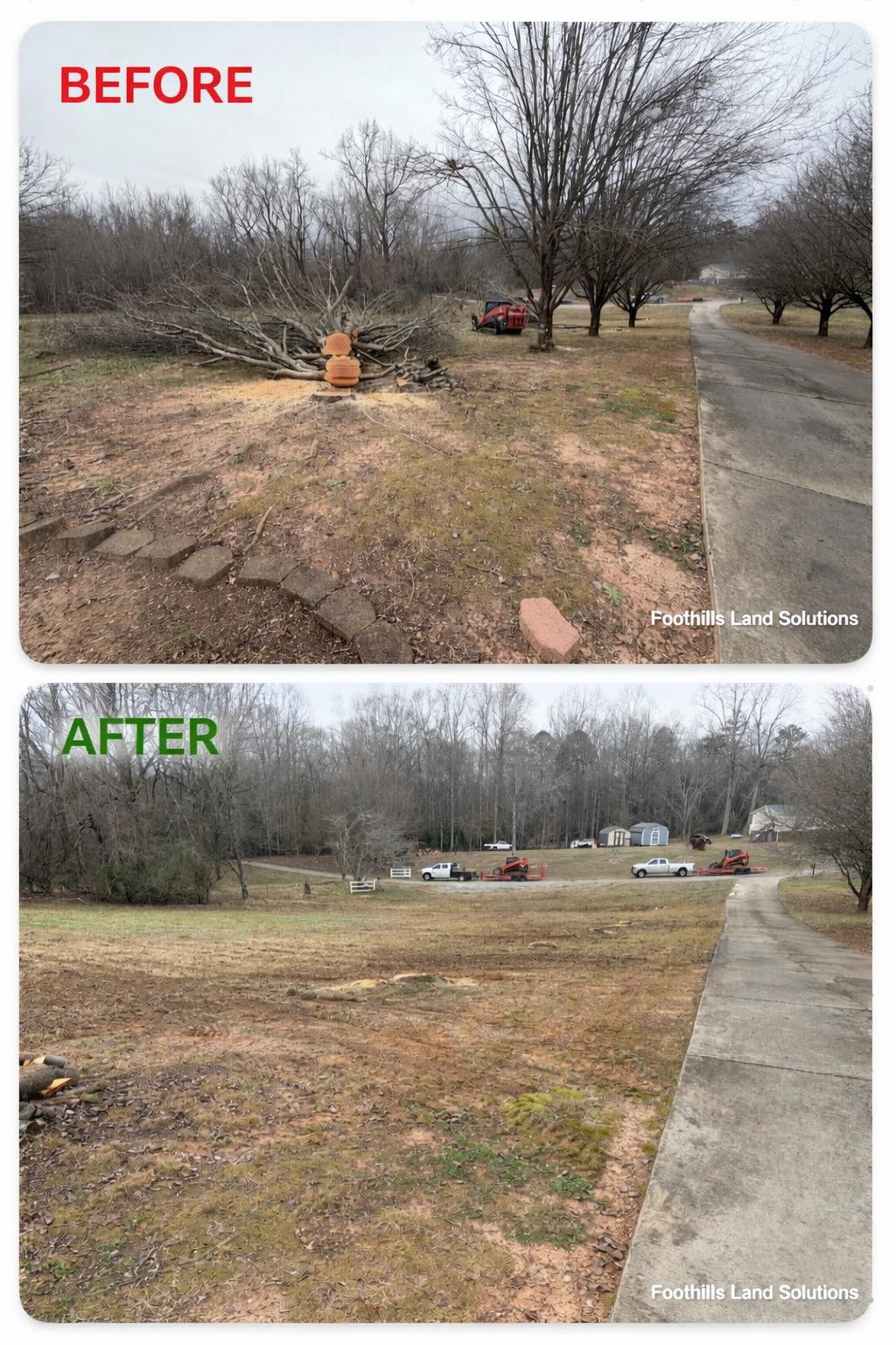 Before and after photos showing a yard cleared of fallen trees and debris next to a paved driveway.