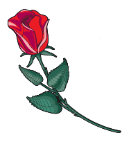 colored rose icon