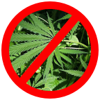 Anti Marijuana Sign — Roseville, CA — Frank Penney Injury Lawyers