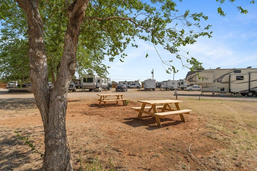 a couple of picnic tables are sitting under a tree in a field .