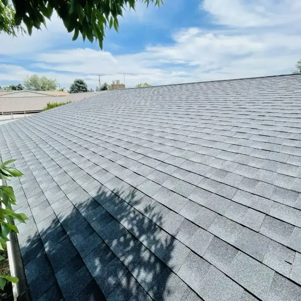 Gray shingle roof under a blue sky, with tree branches in the foreground.