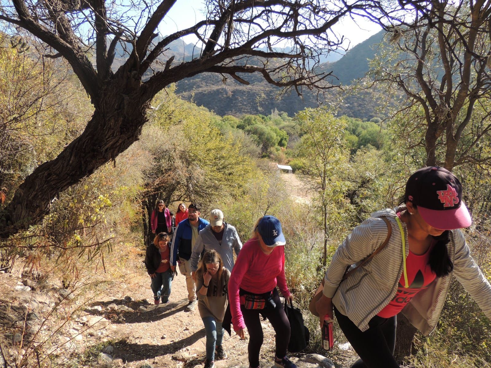 Excursionistas subiendo por un sendero a través del bosque. Un día soleado.