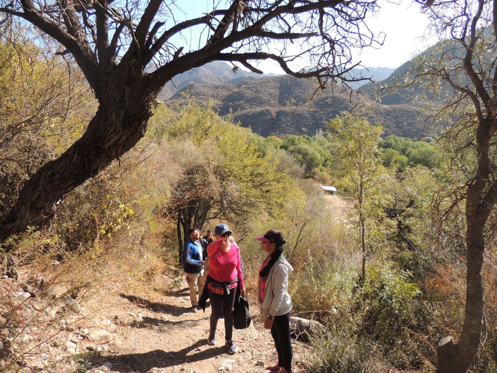 Tres personas caminan por un sendero en un paisaje árido y montañoso. La luz del sol se filtra entre los árboles.