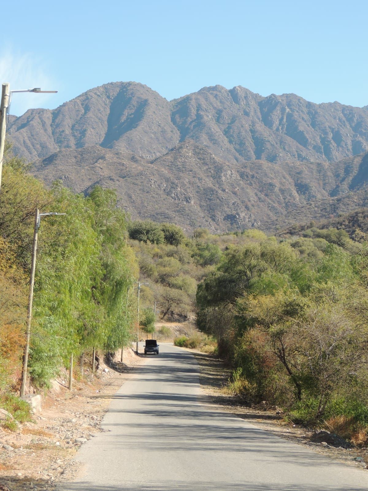 Camino pavimentado que serpentea hacia montañas distantes, árboles a los lados, un automóvil recorriendo la carretera.