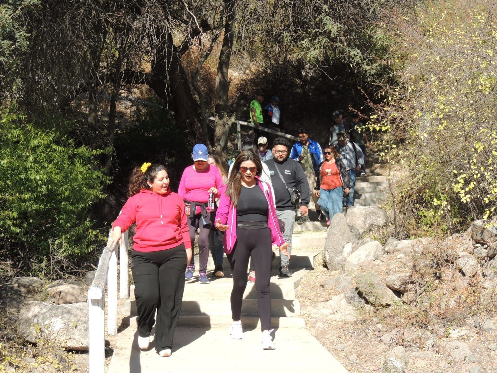 Grupo de personas subiendo escalones de piedra en una zona boscosa en un día soleado.