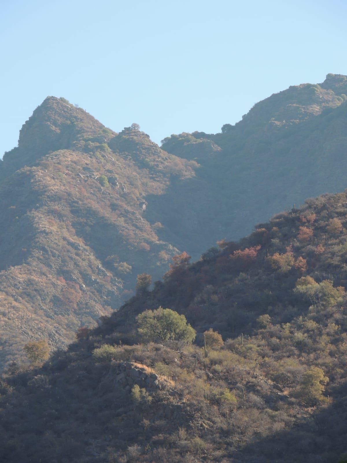 Paisaje montañoso con vegetación marrón, verde y canela bajo un cielo azul claro.