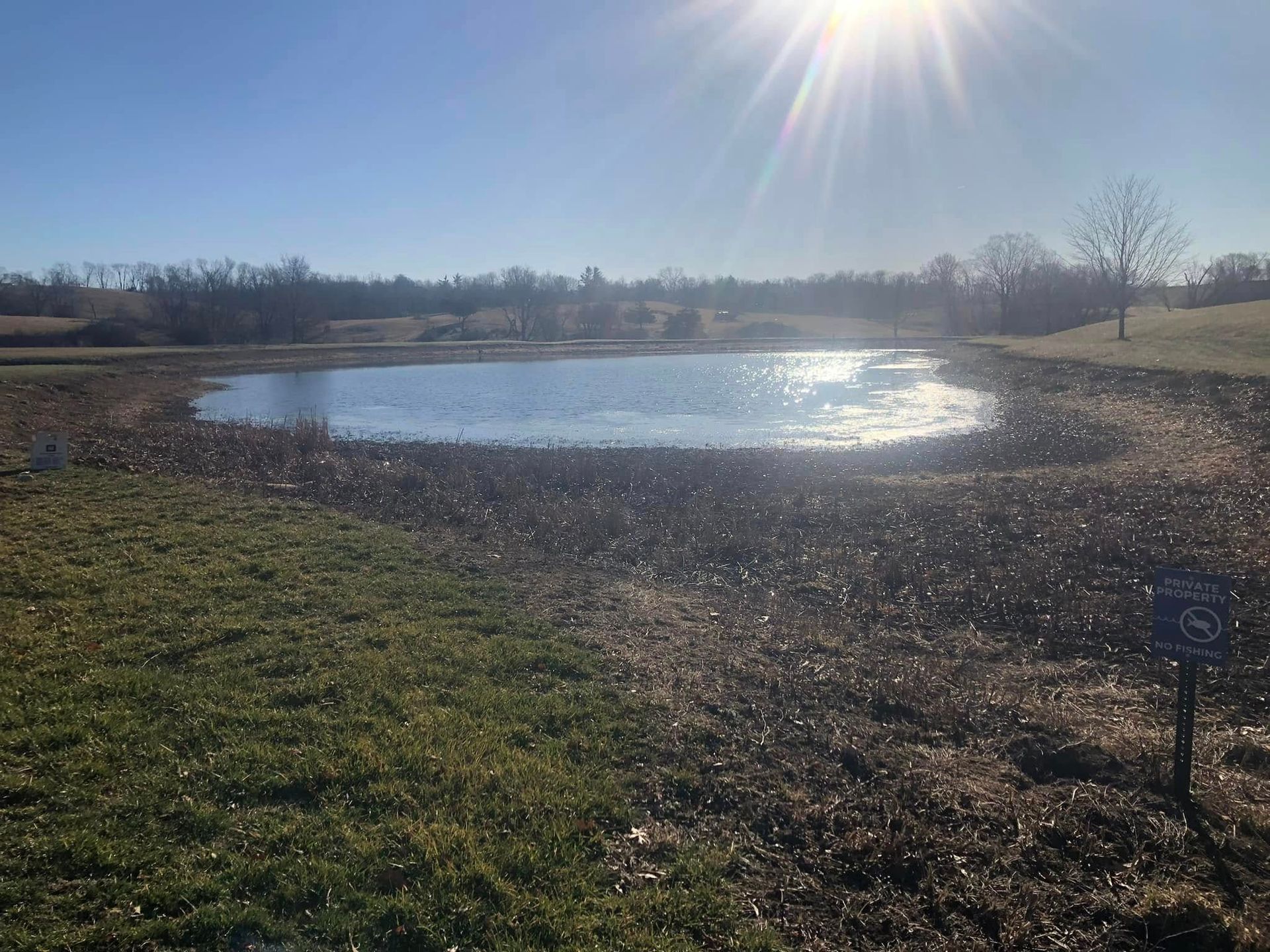 A small pond in the middle of a grassy field on a sunny day.