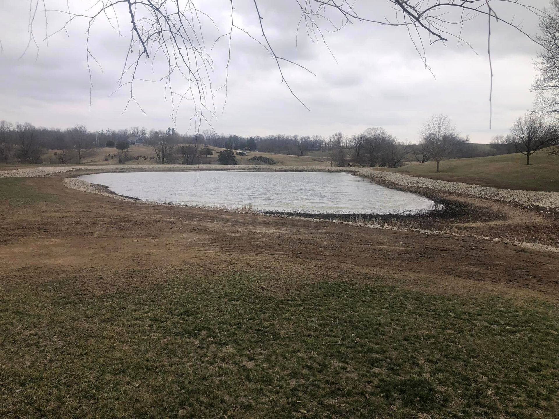 A small pond in the middle of a grassy field.
