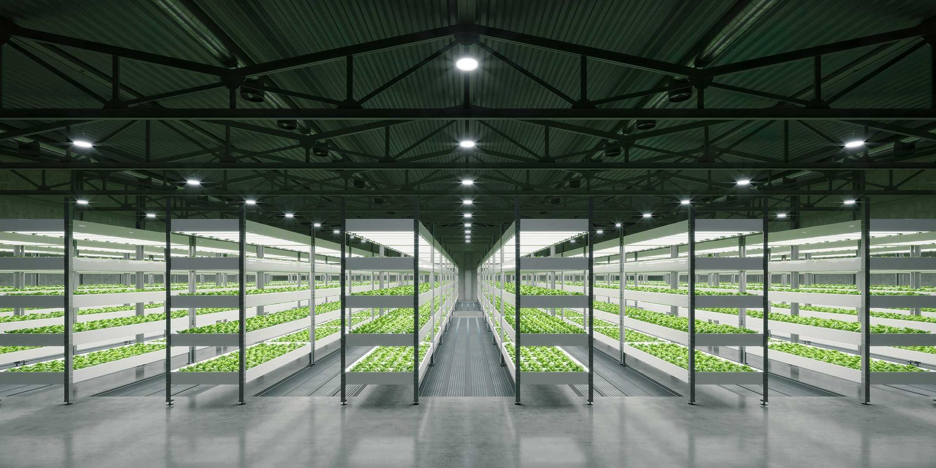 Inside a vertical farm, rows of plants are illuminated by lights.