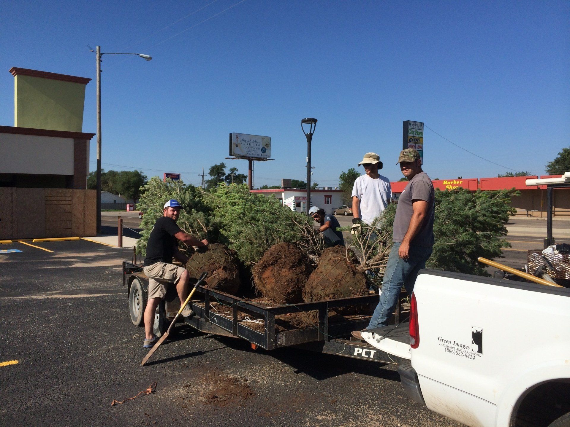 A group of men are loading trees onto a trailer in a parking lot.
