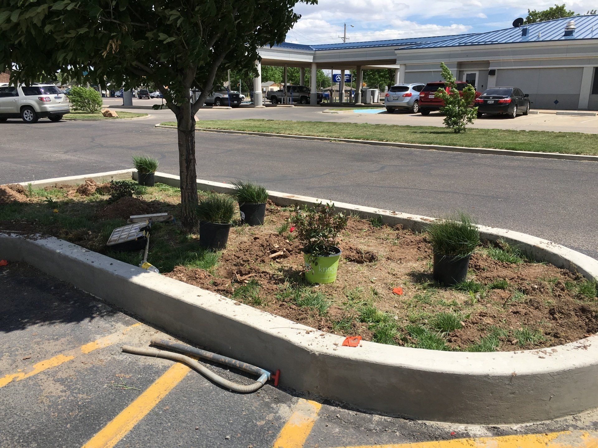A snake is crawling on the curb of a parking lot.