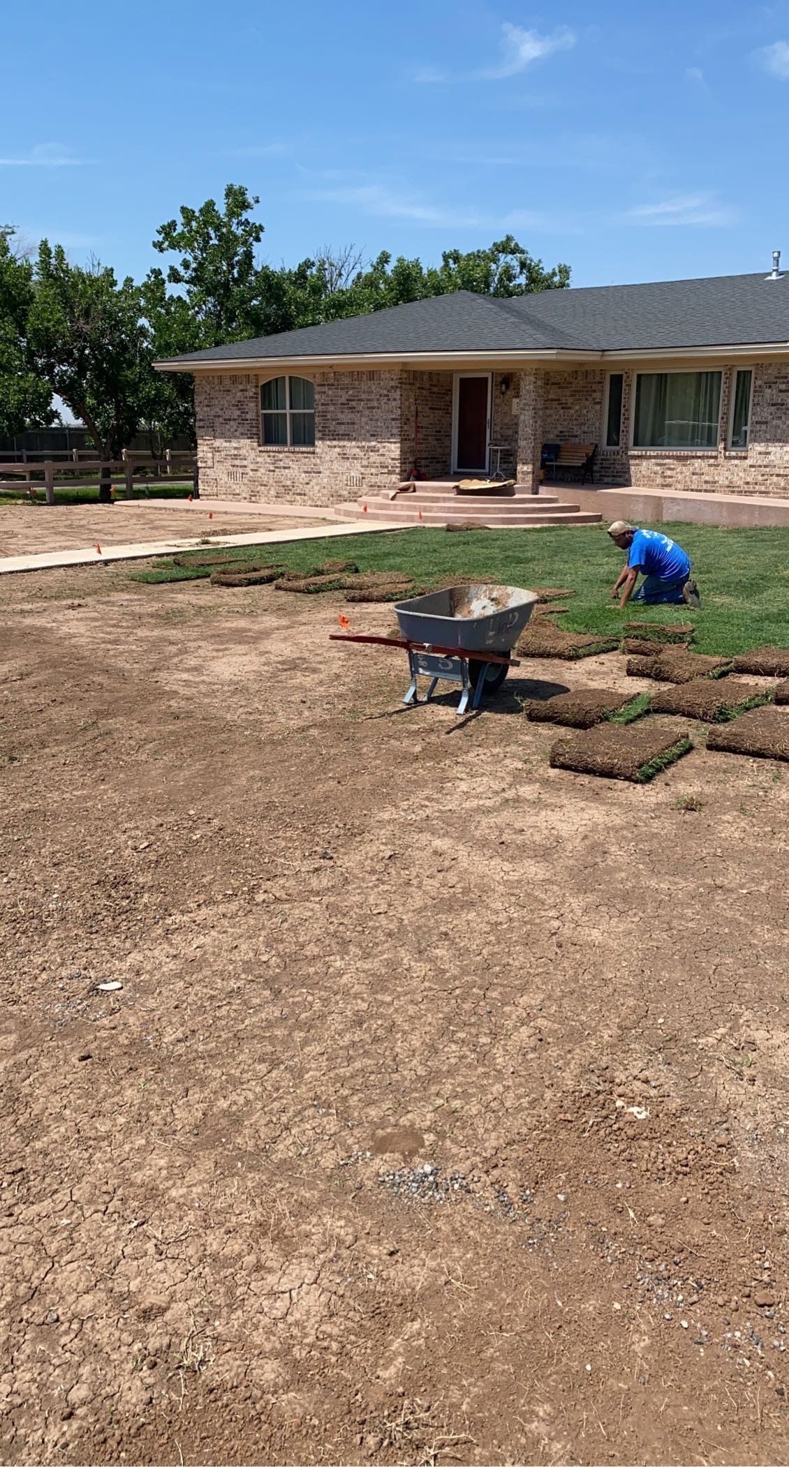 A man is working on a lawn in front of a house with a wheelbarrow.