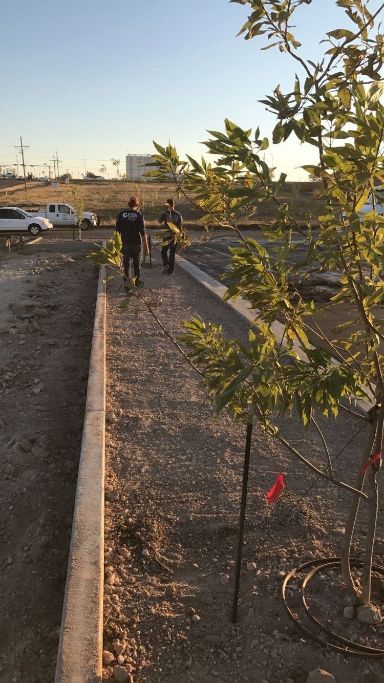 A couple of people standing next to a tree in a dirt field.