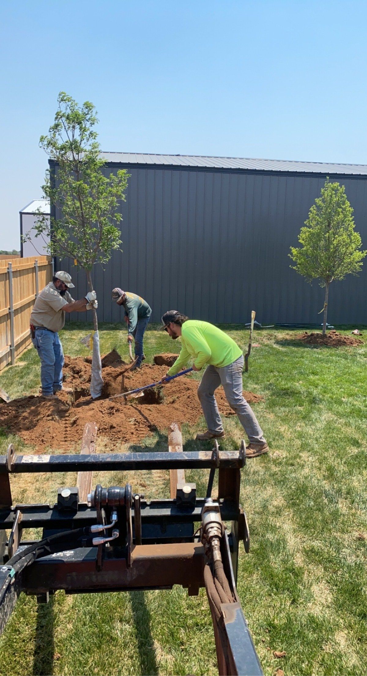 A group of men are planting trees in a yard.
