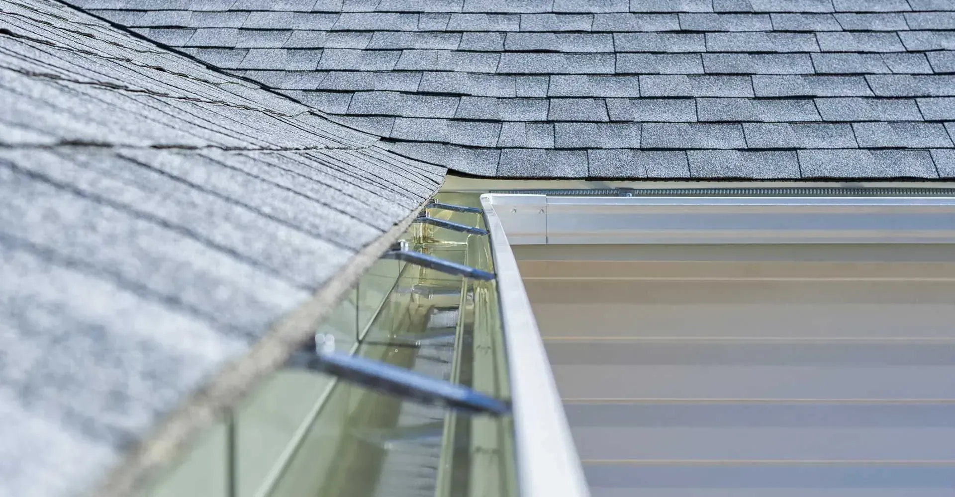 Close-up view of a roof with gray shingles and a white gutter attached to light siding.