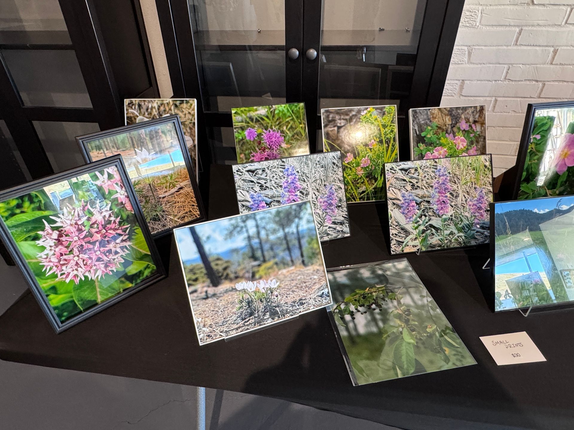 Photographs of flowers and landscapes displayed on a black surface.