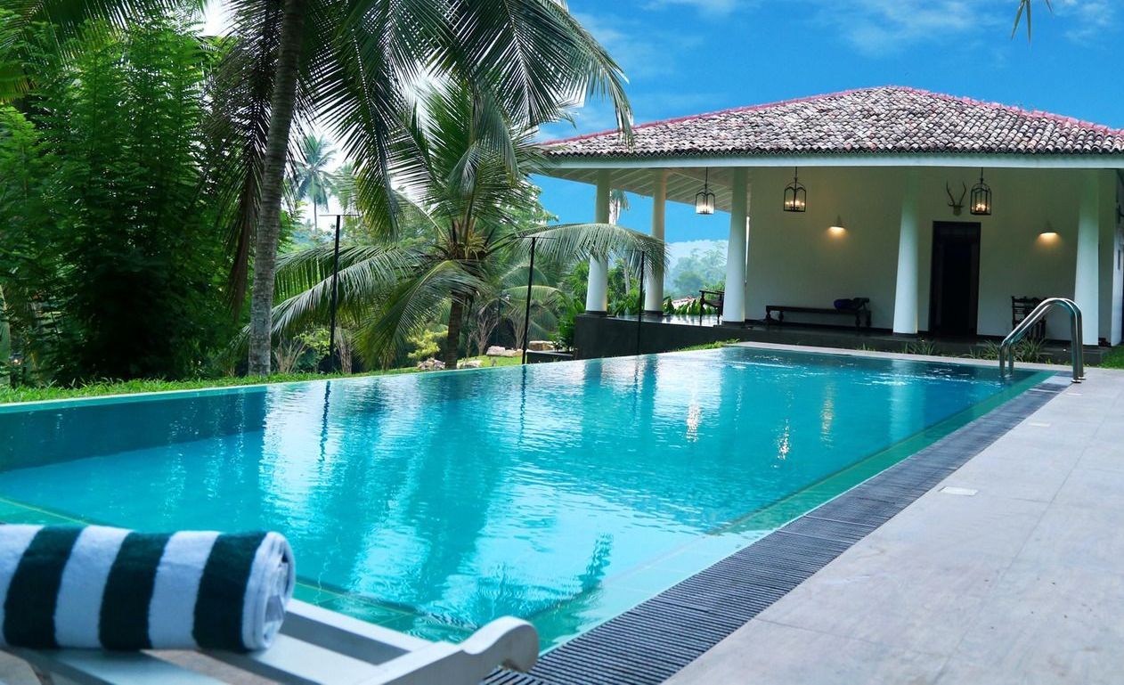 A large swimming pool is surrounded by palm trees and a house.