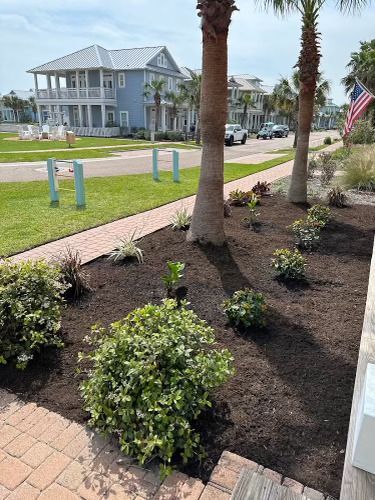 A lush green garden with palm trees and a blue house in the background.