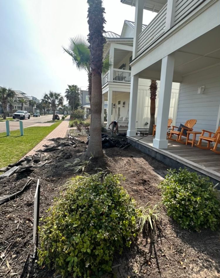 A white house with a palm tree in front of it.