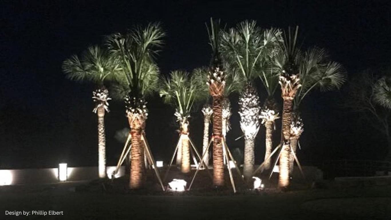 landscape lighting corpus christi