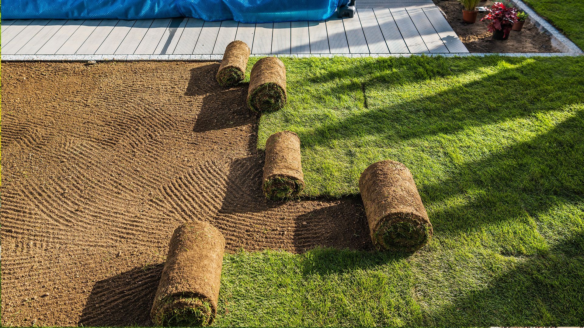 Rolls of sod on soil and grass, alongside a walkway, with a garden bed in the background.