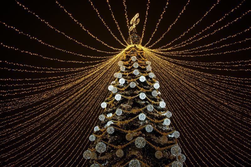 Iconic Christmas trees in Corpus Christi are adorned with dazzling lights.