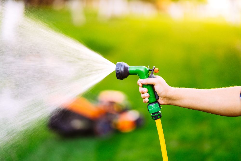 A person is watering a lawn with a hose.