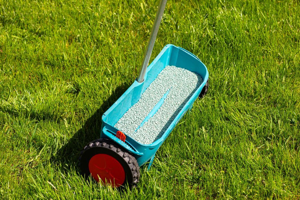 A blue spreader is sitting on top of a lush green lawn.