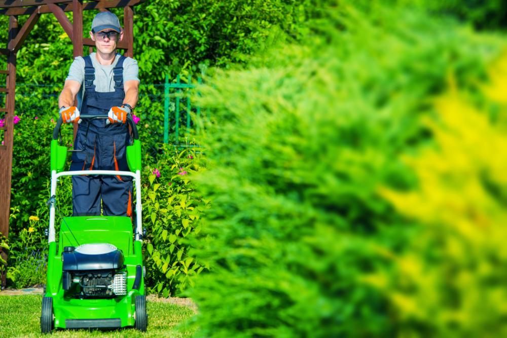 A man is riding a green lawn mower on a lush green lawn.