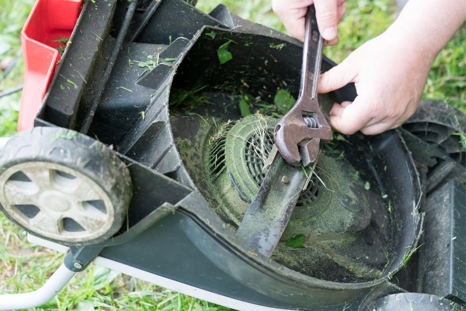 When Should You Sharpen Your Mower Blades Corpus Christi, TX