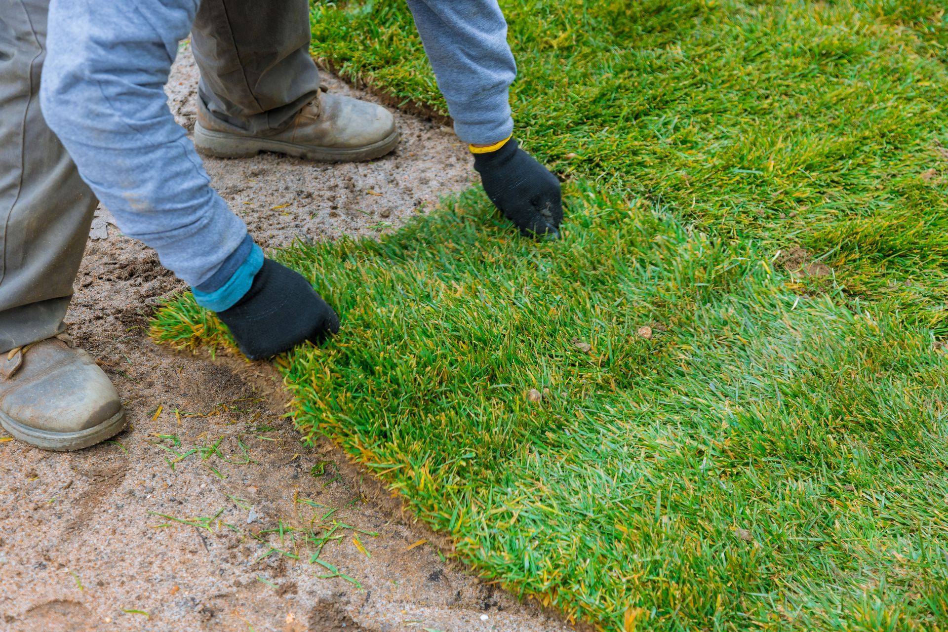 Person in gloves installing a section of fresh green sod on brown soil.