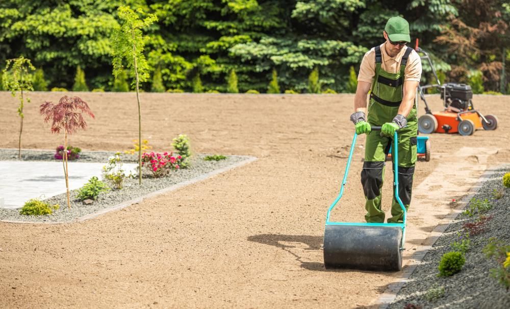 A man is rolling dirt in a garden with a roller.