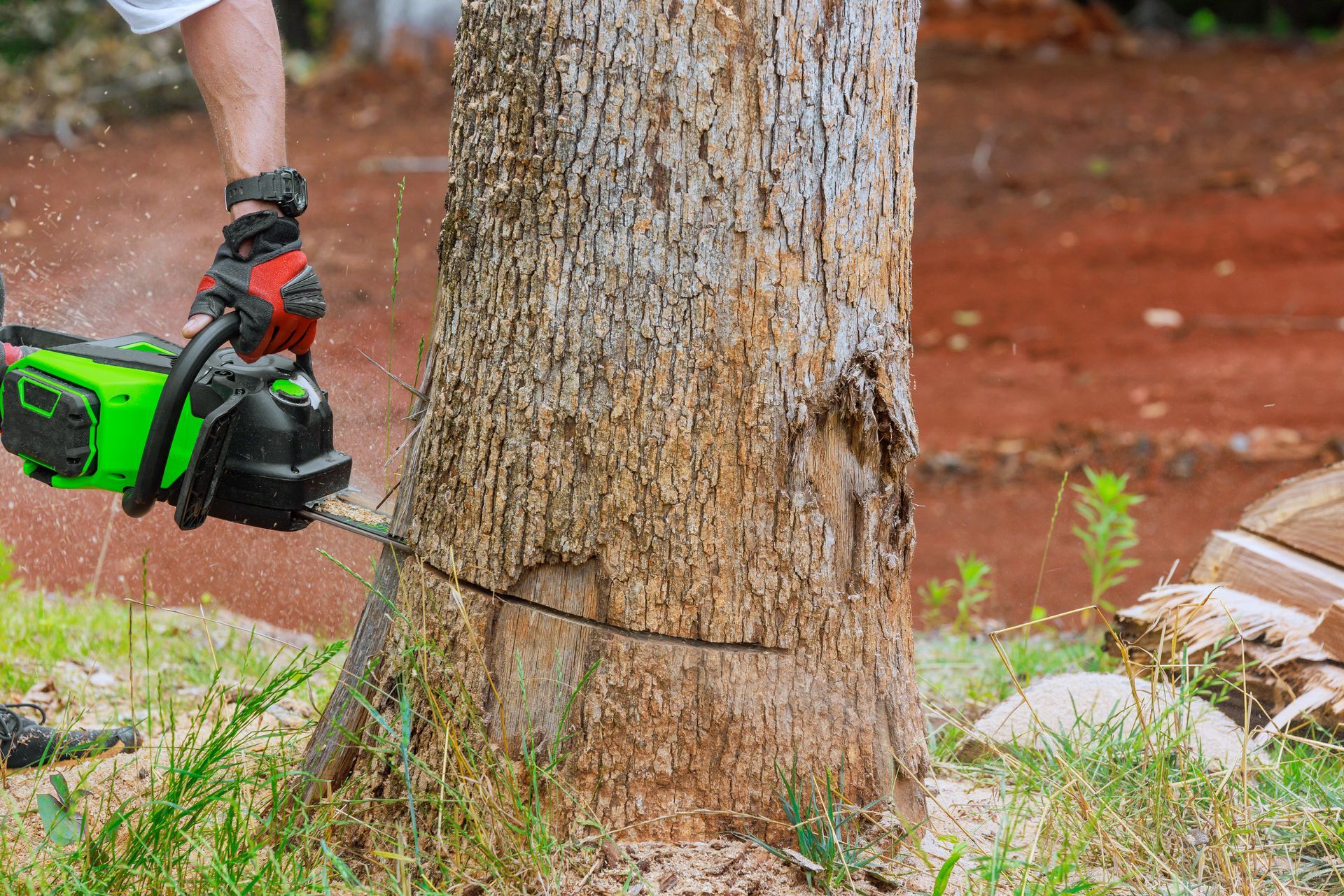 Person using a green and black chainsaw to cut a tree trunk outdoors.