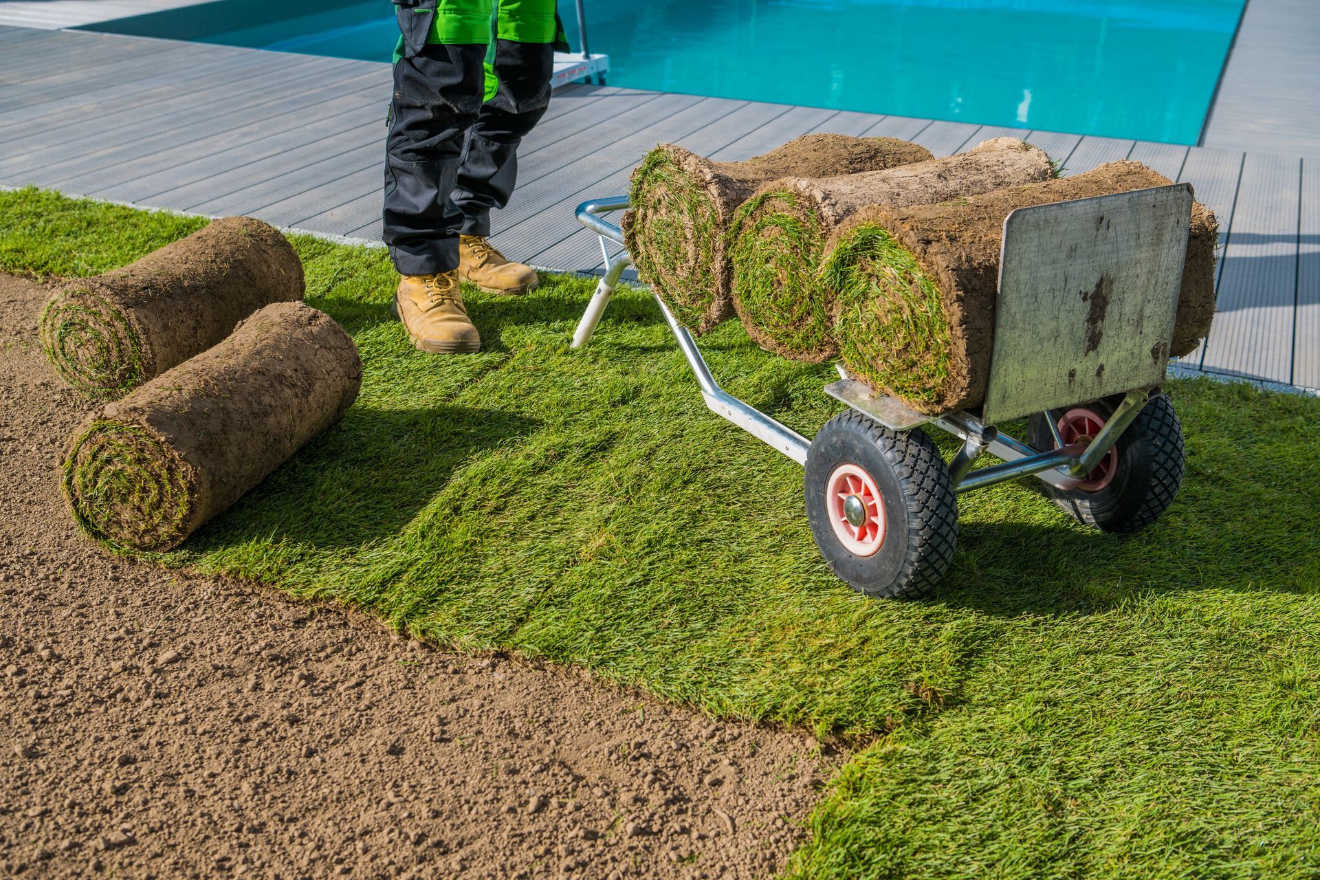 Person installing sod rolls beside a pool using a cart, green grass, sunny day.