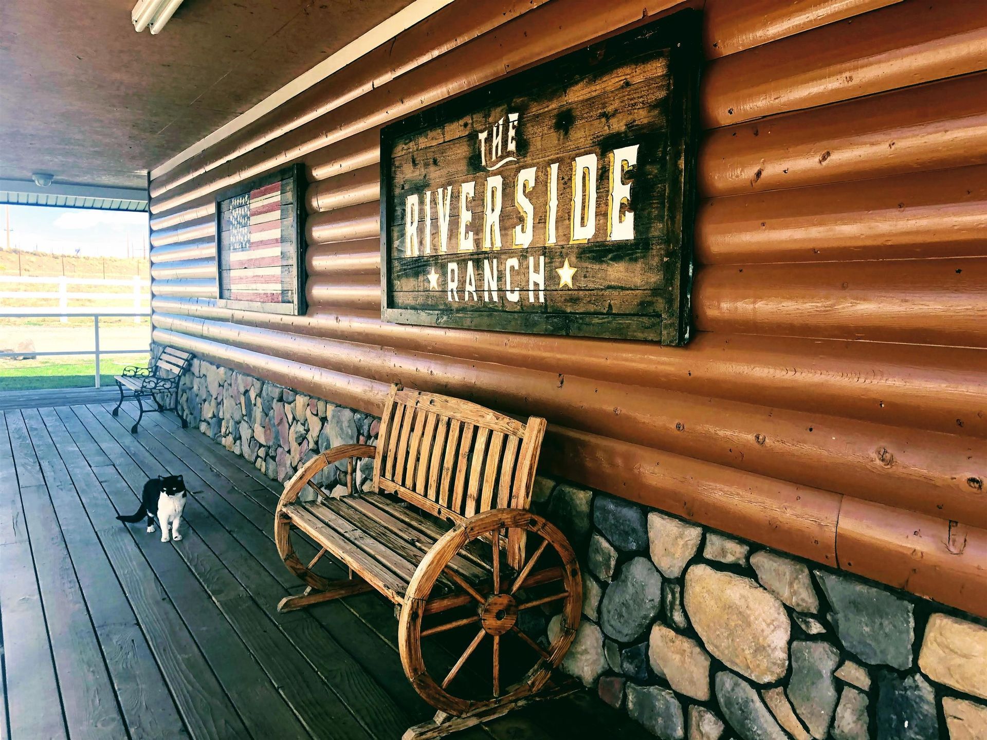 A cat is sitting on a wooden deck next to a wooden bench.