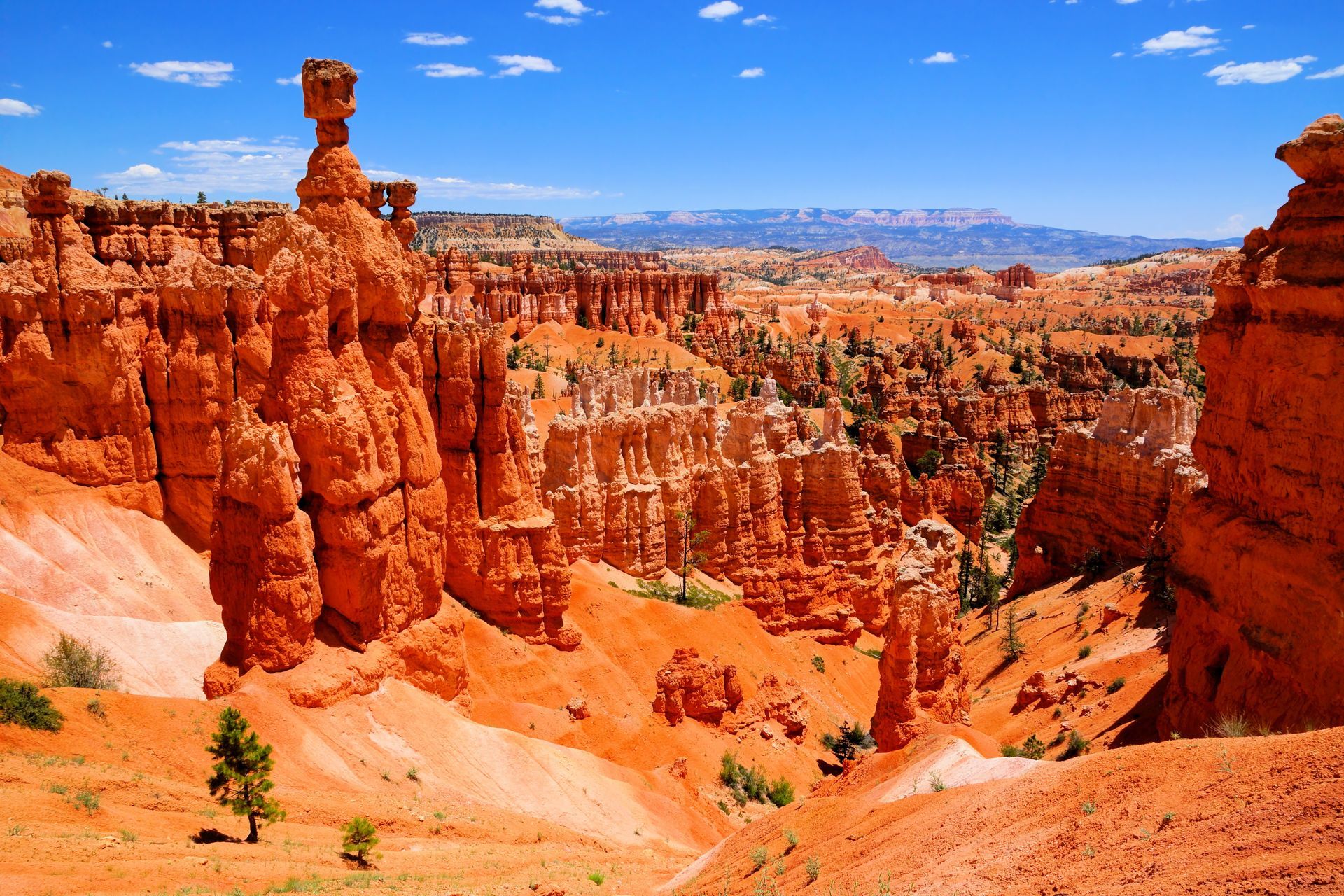 A view of a canyon with mountains in the background