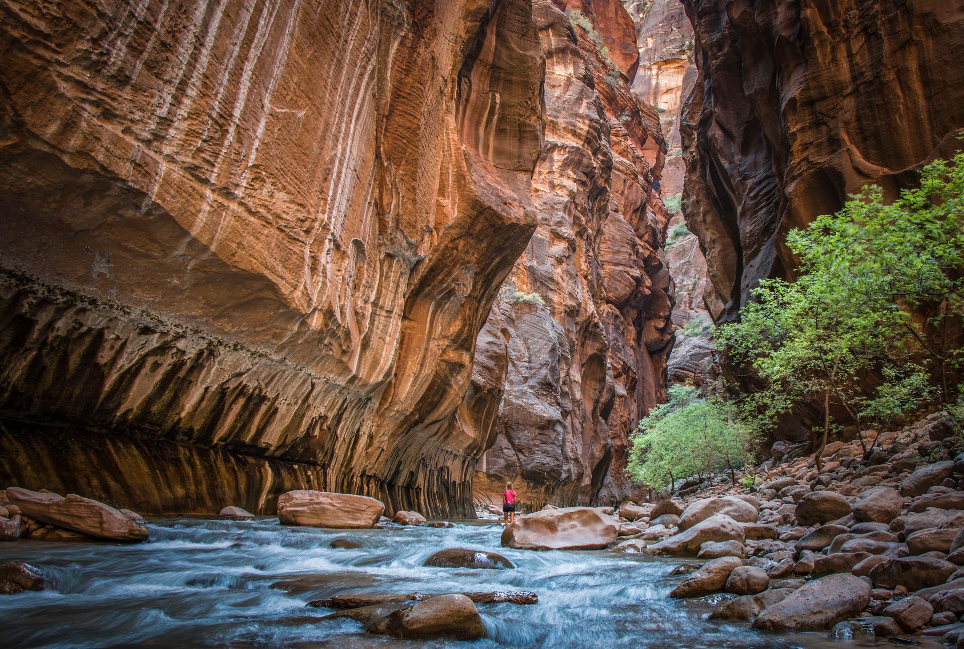 A person is standing in the middle of a river in a canyon.