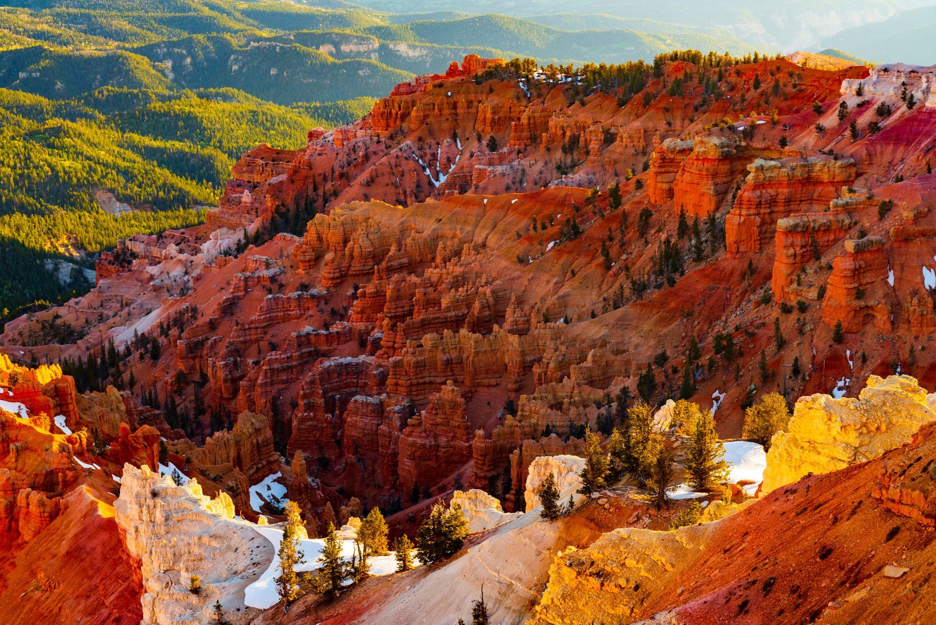 A view of a canyon with trees and mountains in the background.