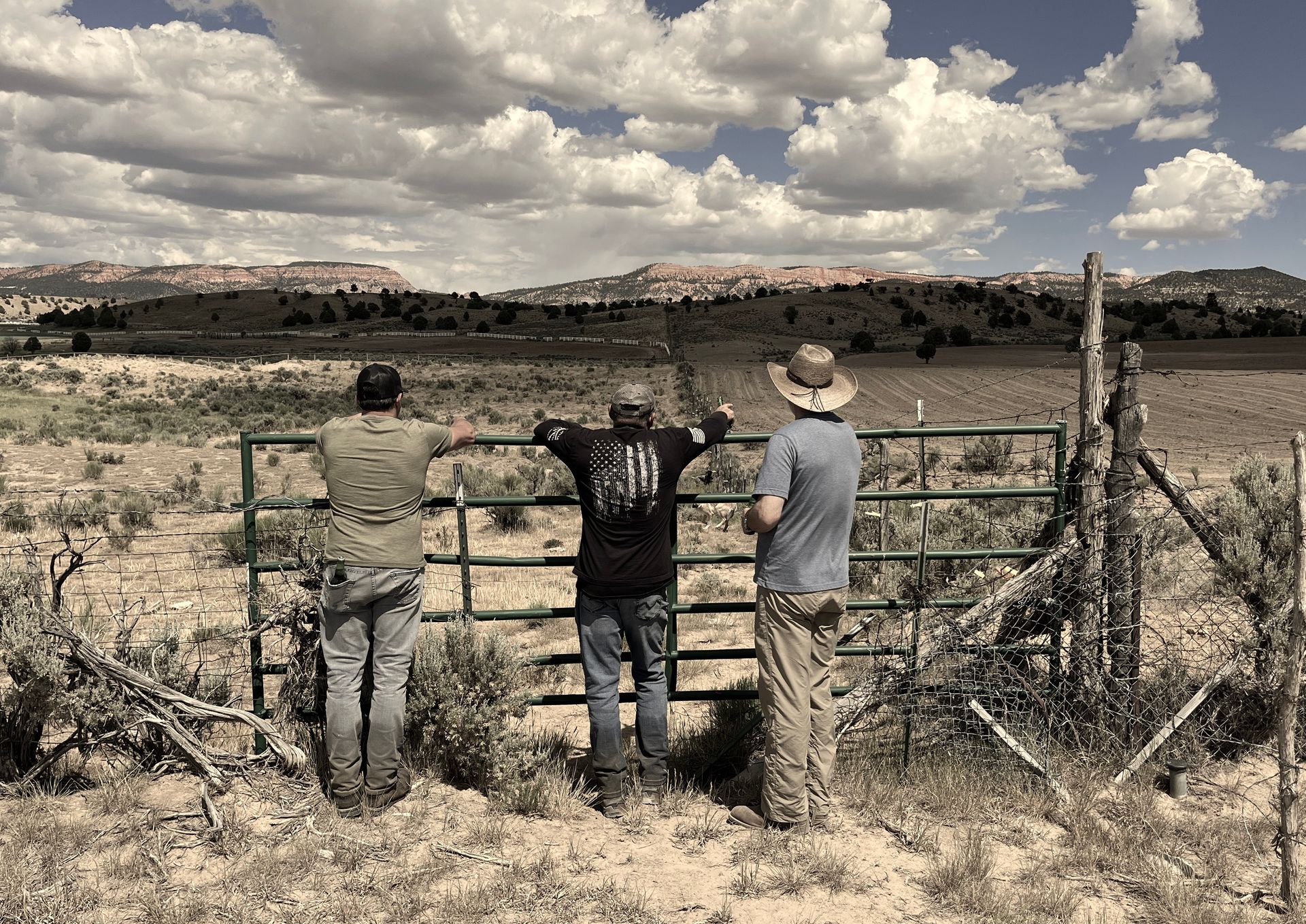 Three men are standing in a field looking over a gate