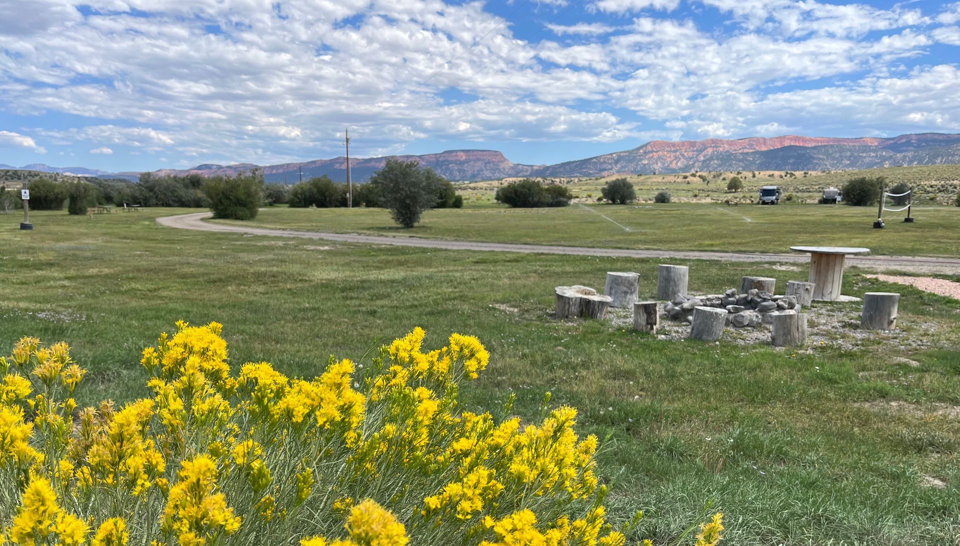 There are yellow flowers in the foreground and a picnic table in the background.