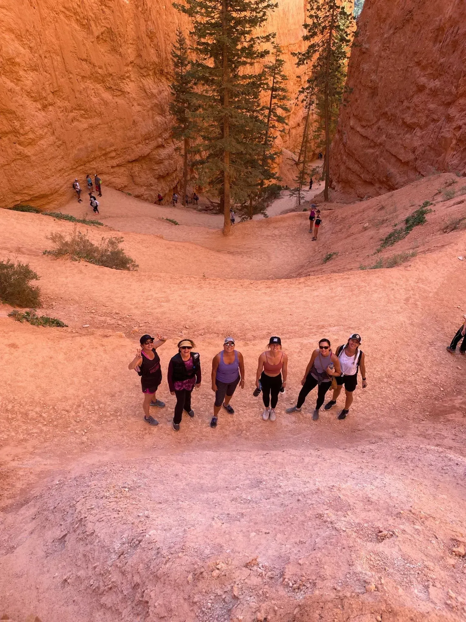 A group of people are walking down a dirt path in a canyon.