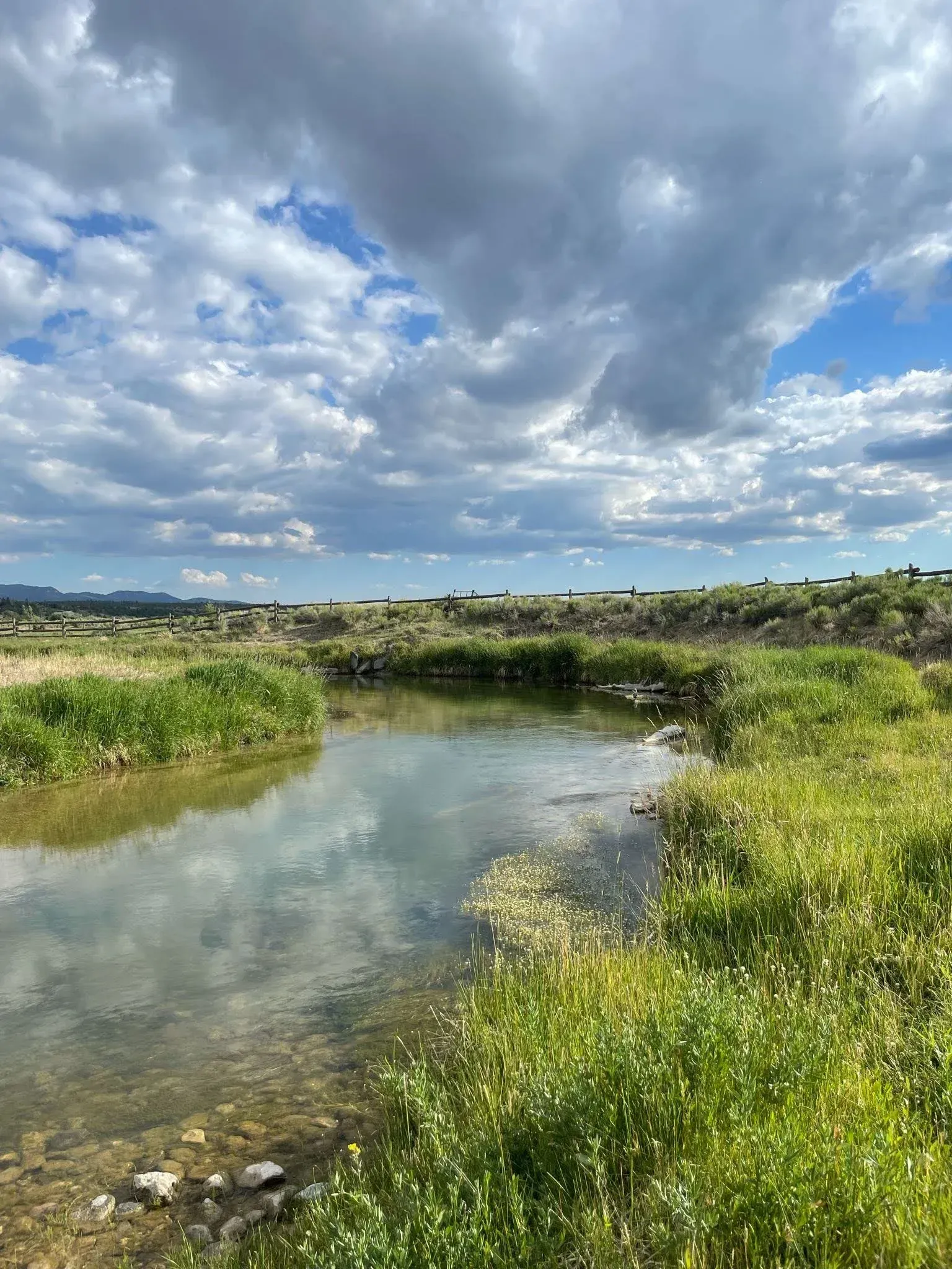 A small stream running through a grassy field on a cloudy day.