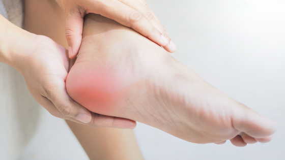 The plantar fascia is designed to absorb the stress and strain we place on our feet when walking/run