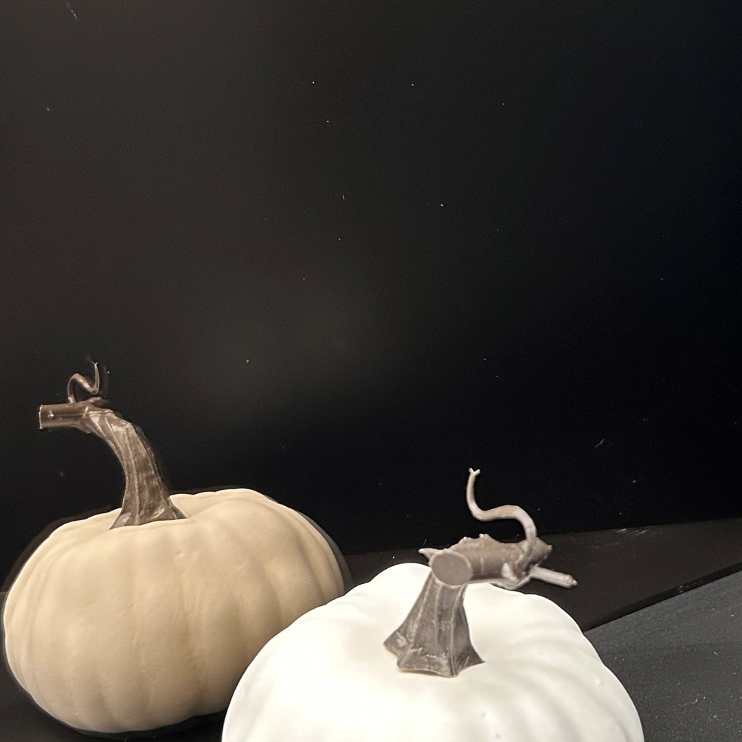 Two white pumpkins on a table with a black background